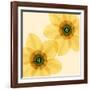 Delicate I-Val Andre-Framed Giclee Print