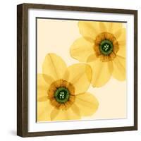 Delicate I-Val Andre-Framed Giclee Print