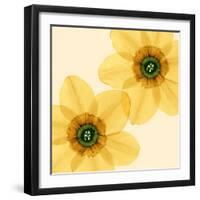 Delicate I-Val Andre-Framed Giclee Print