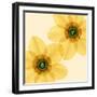 Delicate I-Val Andre-Framed Giclee Print