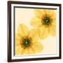 Delicate I-Val Andre-Framed Giclee Print