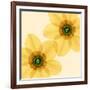 Delicate I-Val Andre-Framed Giclee Print