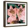 Delicate I-Herb Dickinson-Framed Photographic Print