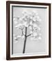 Delicate II-Irene Suchocki-Framed Giclee Print