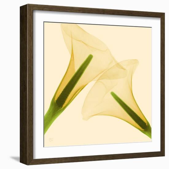 Delicate II-Val Andre-Framed Giclee Print