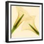 Delicate II-Val Andre-Framed Giclee Print