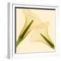 Delicate II-Val Andre-Framed Giclee Print