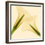 Delicate II-Val Andre-Framed Giclee Print