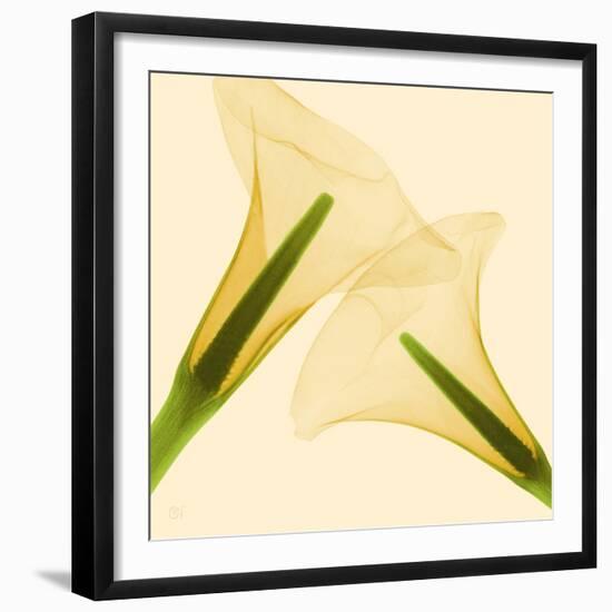 Delicate II-Val Andre-Framed Giclee Print