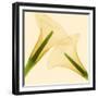 Delicate II-Val Andre-Framed Giclee Print