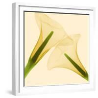 Delicate II-Val Andre-Framed Giclee Print