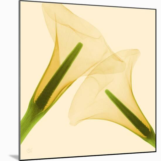 Delicate II-Val Andre-Mounted Giclee Print