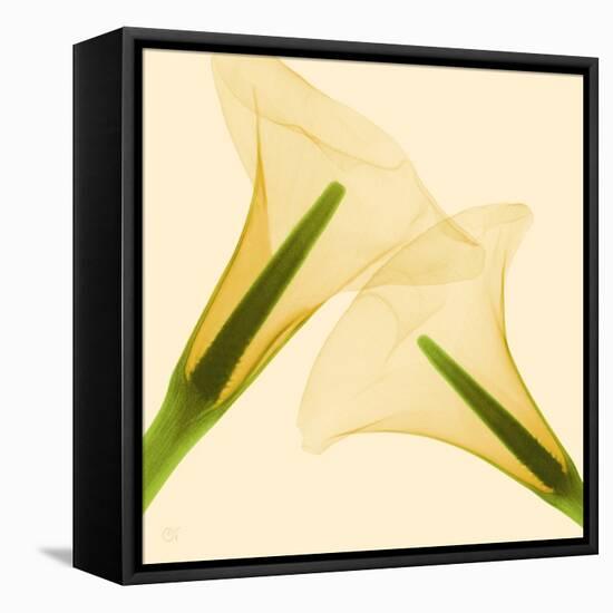 Delicate II-Val Andre-Framed Stretched Canvas