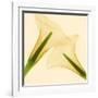 Delicate II-Val Andre-Framed Giclee Print