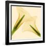 Delicate II-Val Andre-Framed Giclee Print