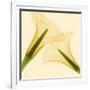 Delicate II-Val Andre-Framed Giclee Print