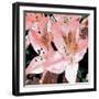 Delicate II-Herb Dickinson-Framed Photographic Print