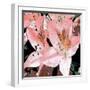 Delicate II-Herb Dickinson-Framed Photographic Print