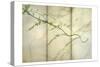 Delicate Light 2-Dianne Poinski-Stretched Canvas