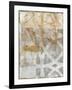 Delicate Lines II-Megan Meagher-Framed Art Print