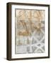 Delicate Lines II-Megan Meagher-Framed Art Print