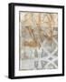 Delicate Lines II-Megan Meagher-Framed Art Print