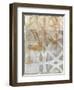 Delicate Lines II-Megan Meagher-Framed Art Print