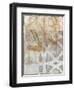 Delicate Lines II-Megan Meagher-Framed Art Print