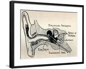 'Delicate Mechanism of the Ear', c1934-Unknown-Framed Giclee Print