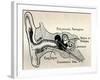 'Delicate Mechanism of the Ear', c1934-Unknown-Framed Giclee Print