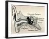 'Delicate Mechanism of the Ear', c1934-Unknown-Framed Giclee Print