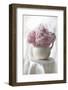 Delicate Pink Peonies-Anna Miller-Framed Photographic Print