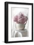 Delicate Pink Peonies-Anna Miller-Framed Photographic Print