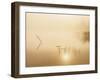 Delicate Reflections-Mikael Svensson-Framed Giclee Print