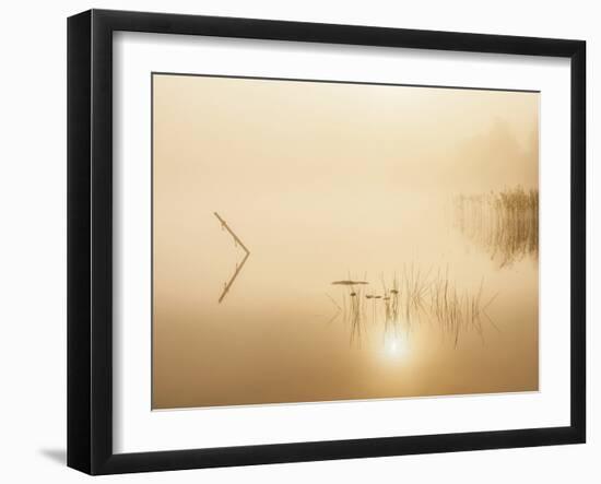 Delicate Reflections-Mikael Svensson-Framed Giclee Print