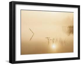 Delicate Reflections-Mikael Svensson-Framed Giclee Print