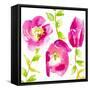 Delicate Rose II-Patricia Pinto-Framed Stretched Canvas