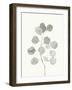 Delicate Sage Botanical I-Emma Caroline-Framed Art Print