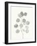 Delicate Sage Botanical I-Emma Caroline-Framed Art Print