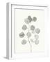 Delicate Sage Botanical I-Emma Caroline-Framed Art Print