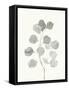 Delicate Sage Botanical I-Emma Caroline-Framed Stretched Canvas