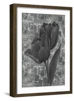 Delicate Silver IV-Rikki Drotar-Framed Giclee Print