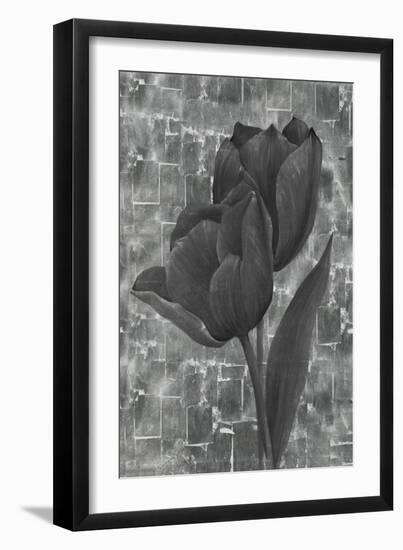 Delicate Silver IV-Rikki Drotar-Framed Giclee Print