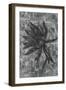 Delicate Silver V-Rikki Drotar-Framed Giclee Print