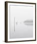 Delicate Thought-Mikael Svensson-Framed Giclee Print