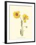 Delicate Wildflowers II-null-Framed Art Print