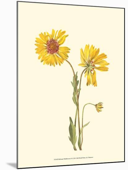 Delicate Wildflowers II-null-Mounted Art Print