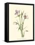 Delicate Wildflowers IV-null-Framed Stretched Canvas