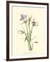 Delicate Wildflowers IV-null-Framed Art Print