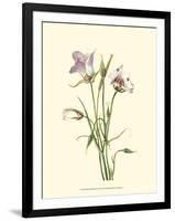 Delicate Wildflowers IV-null-Framed Art Print